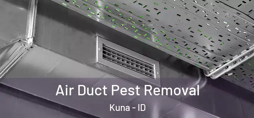 Air Duct Pest Removal Kuna - ID