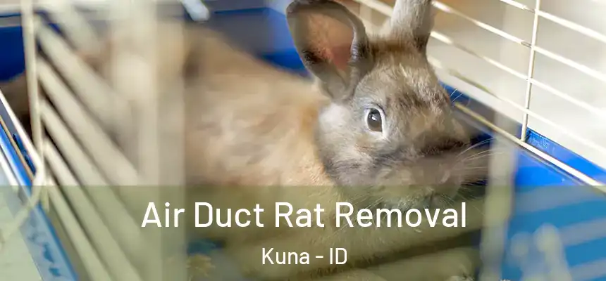  Air Duct Rat Removal Kuna - ID