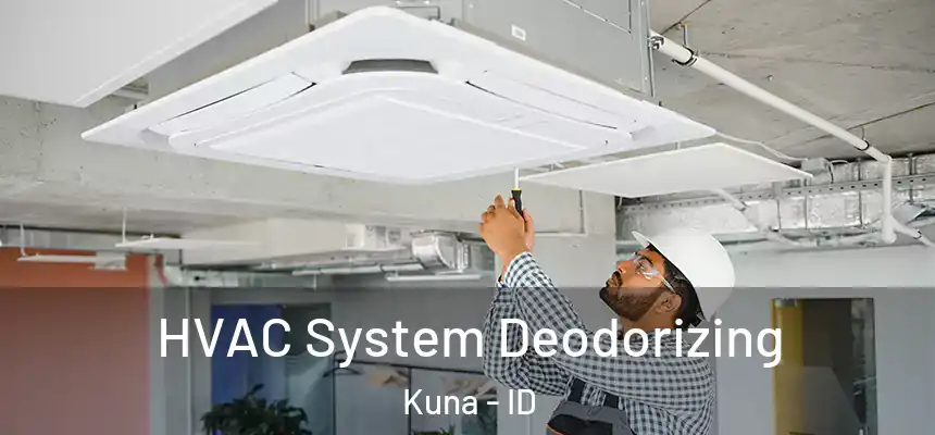  HVAC System Deodorizing Kuna - ID
