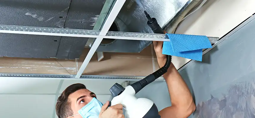 Our Air Duct Rodent Removal Services in Kuna, ID
