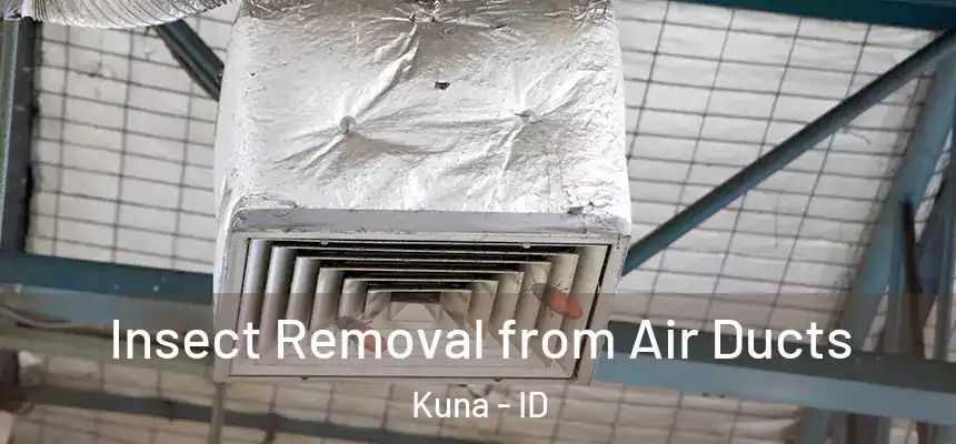  Insect Removal from Air Ducts Kuna - ID