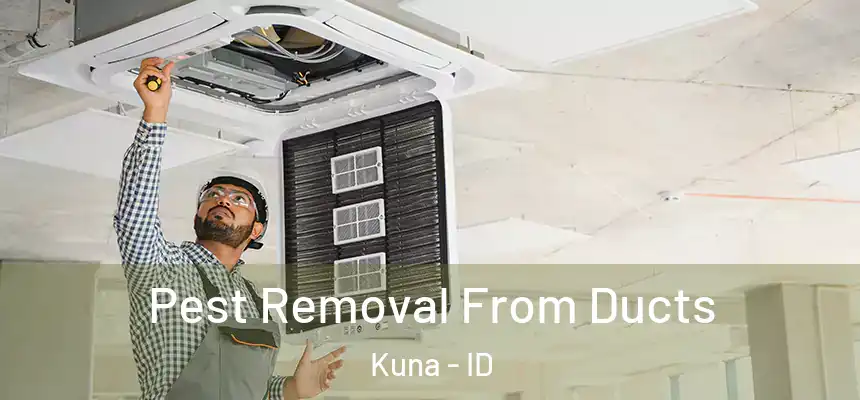  Pest Removal From Ducts Kuna - ID