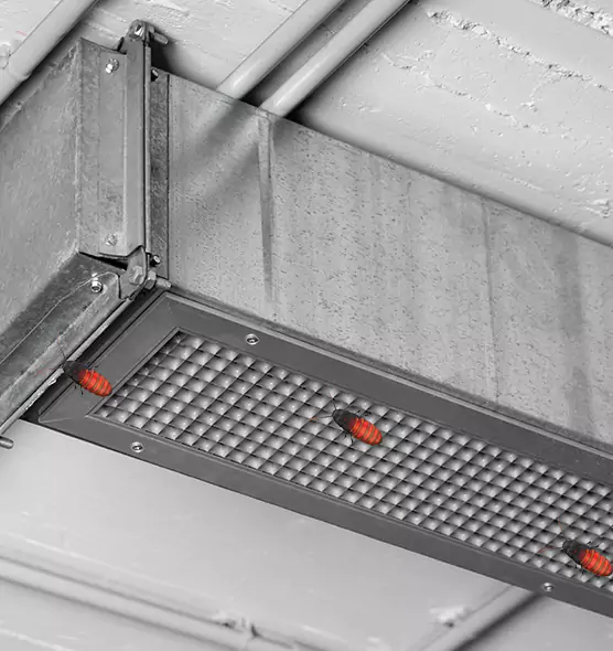 About Air Duct Cockroach Removal in Kuna, ID