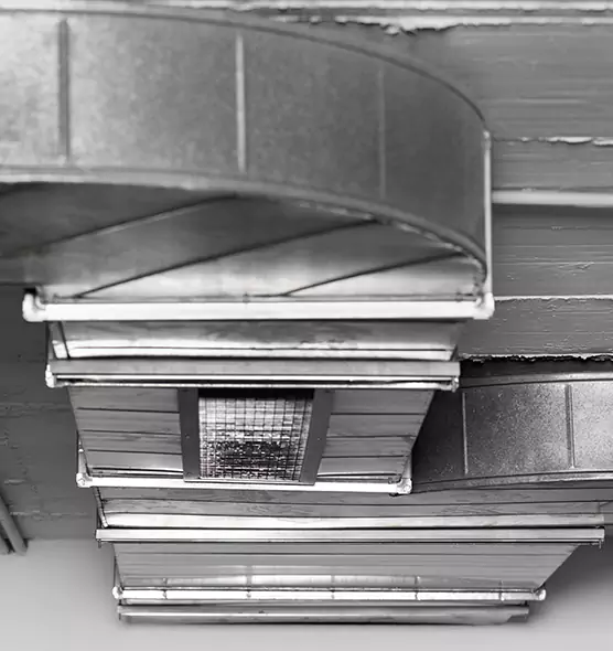 Professional Air Duct Pest Removal in Kuna, ID