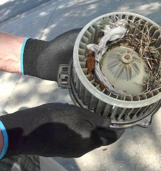 About Air Duct Rat Removal in Kuna, ID