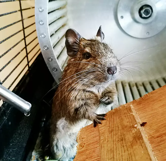 Why Homeowners & Businesses Trust Us Kuna, ID